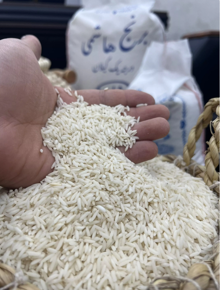 برنج هاشمی گیلانی دانه بلند (بسته ۱۰ کیلویی)